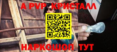 стафф Будённовск