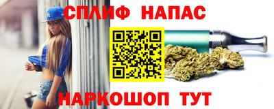 стафф Будённовск